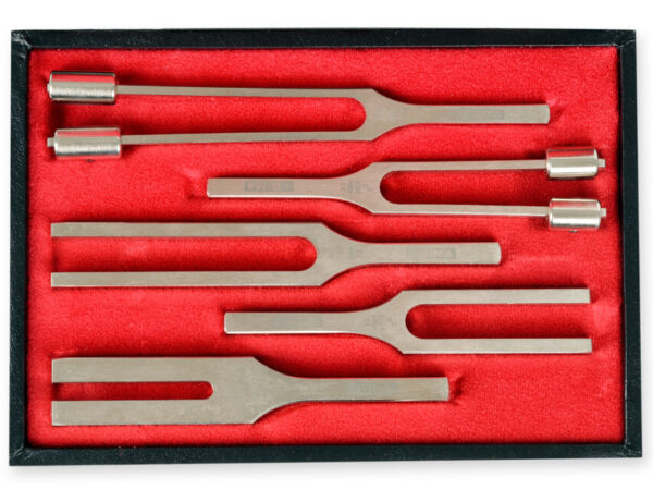 TROUSSE DIAPASON LEGA - 5 pezzi