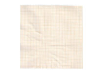 Carta termica ECG 215x25 mmxm - rotolo griglia ara