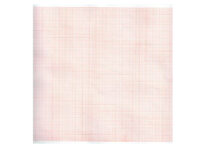 Carta termica ECG 210x30 mmxm - rotolo griglia ara