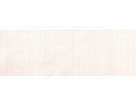 Carta termica ECG 80x20 mmxm - rotolo griglia aran