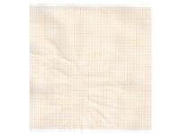 Carta termica ECG 110x20 mmxm - rotolo griglia ara
