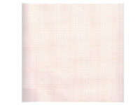 Carta termica ECG 210x30 mmxm - rotolo griglia ara