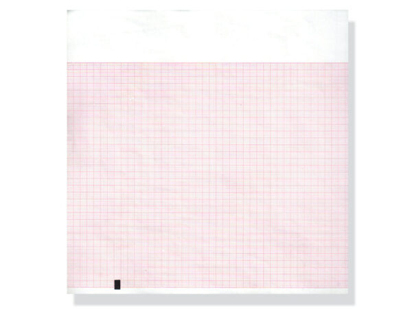 Carta termica ECG 210x300 mmxm - pacco griglia ara