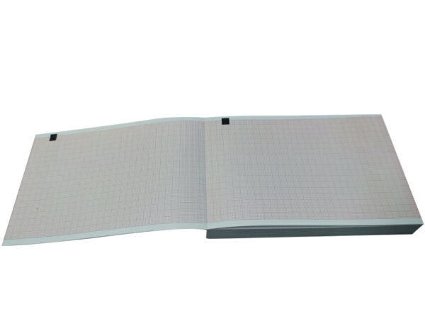 Carta termica ECG 100x150 mm x 200 - pacco griglia
