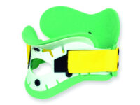 COLLARI - 2 pezzi - adulti collo tozzo