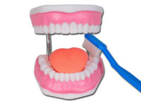 MODELLO IGIENE DENTALE LINEA "VALUE"